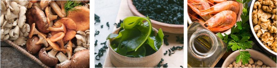 Ingredient Sales & Business Development Representative Image